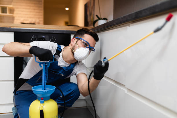 Best Pest Prevention Services  in Mount Ora, OH