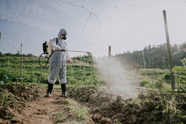 Best Best Pest Control Companies  in Mount Ora, OH