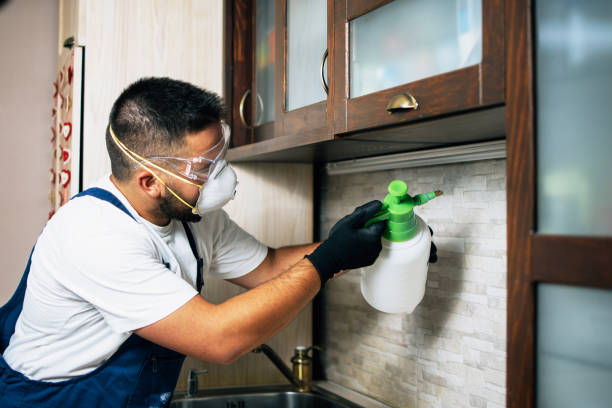 Best Ant Control Services  in Mount Ora, OH