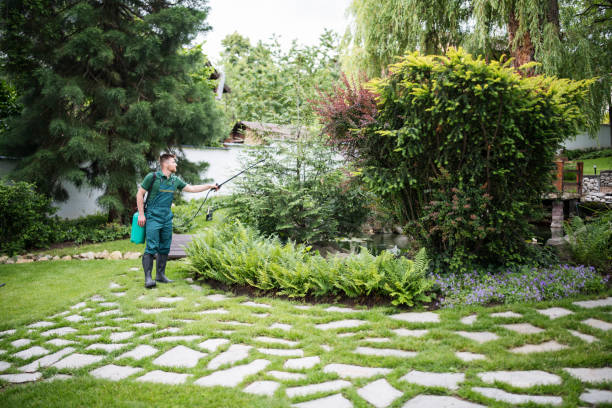 Trusted Mount Ora, OH Pest Control Experts