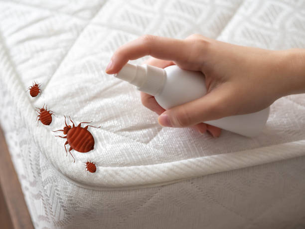 Best Pest Removal Services  in Mount Ora, OH