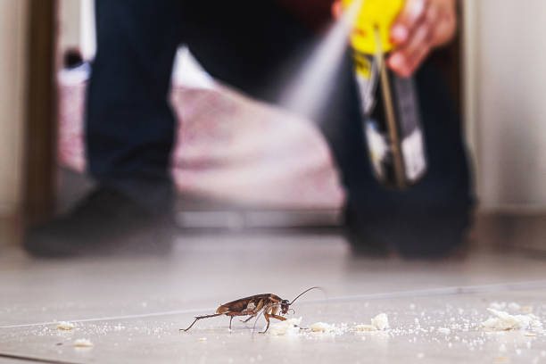 Pest Control Cost in Mount Ora, OH