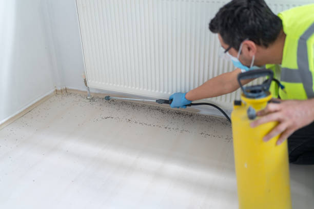 Best Pest Inspection Near Me  in Mount Ora, OH